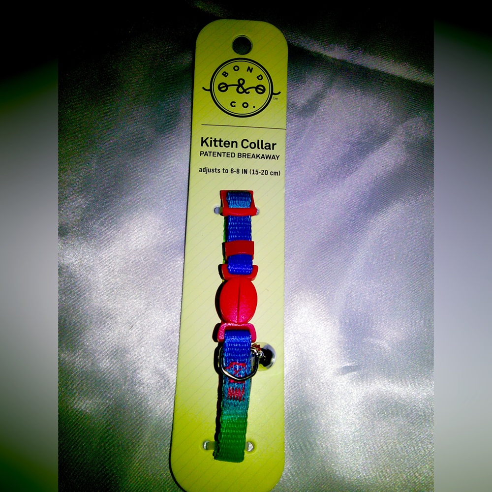 Bond & Co Rainbow Kitten Collar (6” - 8”)